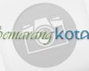 Data Informasi Seputar Kota Semarang