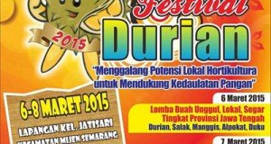 Festival Durian Mijen Semarang 2015