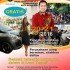 Job Fair Disnakertrans Kota Semarang